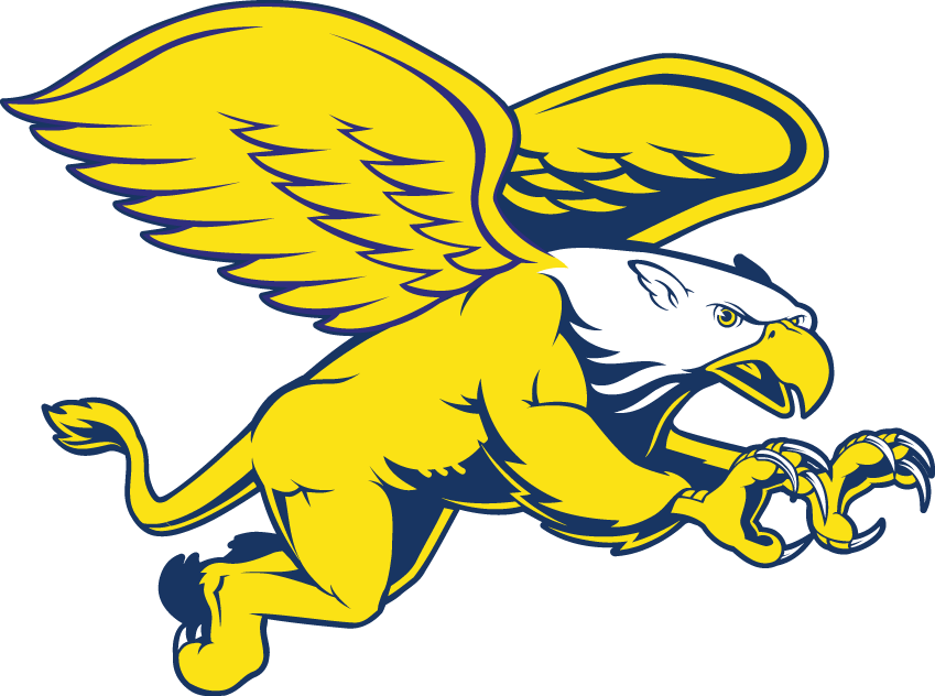 Canisius Golden Griffins 1999-2005 Secondary Logo v2 DIY iron on transfer (heat transfer)